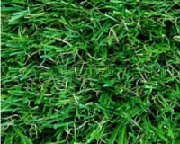 Искусственная трава